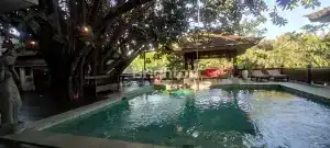 Pool at Villa Seluas, Berawa with lush trees and relaxing ambiance.