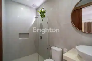 Spacious bathroom with walk-in shower, modern fixtures, and a hanging plant.