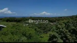 Tanah seluas 600m² di Ungasan dekat Pantai Melasti, akses jalan paving 6 meter.