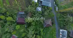 Aerial view of 350m² land in Lovina, Bali, featuring sea, rice fields, and mountain scenery, perfect.