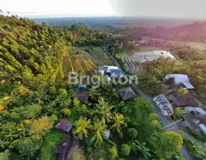 Aerial view of 350m² land in Lovina featuring sea, rice fields, and mountain vistas. Perfect for inv.