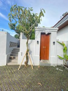 Modern villa entrance with wooden door and lush greenery in Bali.