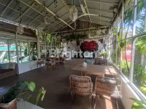 Bright indoor café with large windows and lush greenery, perfect for relaxing or casual meetings.