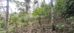 Land in Penebel, Tabanan suitable for agricultural development and plantation projects.