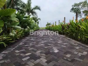 Paved driveway leading to a villa with lush tropical plants and ocean view.