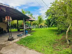 Spacious land in Selemadeg featuring lush greenery and mountain views.