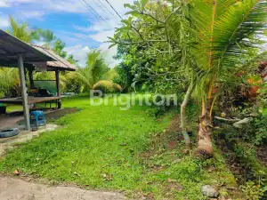 Land in Selemadeg with mountain and rice field views.