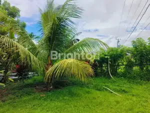 Strategic 3,575 m² land in Selemadeg featuring lush palm trees, mountain scenery, and rice fields, i.