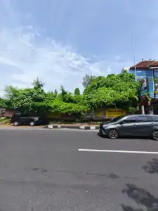 Lahan komersial strategis di Jl. Diponegoro Denpasar dengan pohon rindang dan akses jalan utama.